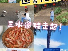 -三水森林公园