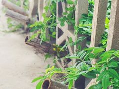 -微焙咖啡工厂(海峡创意产业园·红坊店)