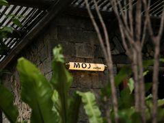 -MOJ coffee(瓯海泽雅水碓坑店)