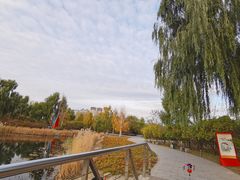 -群力丁香公园