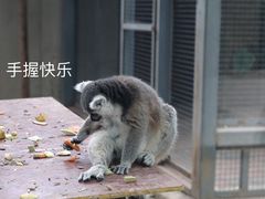 -北京海洋馆