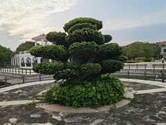 -厦门北海湾惠龙万达嘉华酒店