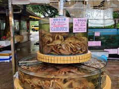 -荔城生鲜盛宴(番禺旗舰店)