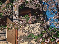 -龙华寺