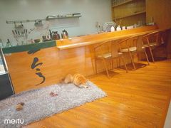 -柴务处·柴犬主题狗咖