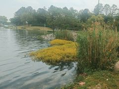 -美兰湖景区