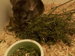 -龙猫仔乐园(惠福东路店)