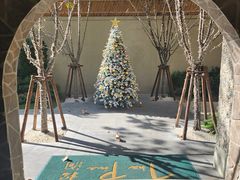 -The Pine 松涧