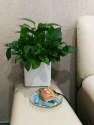 -上海时光整形外科医院