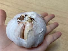 -攀枝花·任德琼·盐边羊肉米线