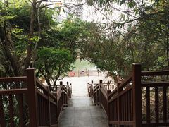 -金山公园