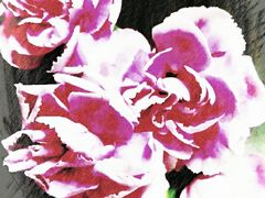 -AEON永旺(东方宝泰店)