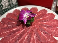 -禄婶鸡煲·打边炉