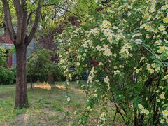 -农园餐厅(北京大学店)