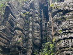 -梭布垭石林景区