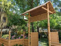 -上海市中医文献馆