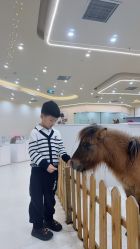 -Moni星球萌宠·小马宝莉·灵蛇·高端高阶全萌宠互动体验俱乐部(红豆国际广场店)