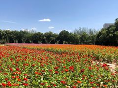 -兰州大学(榆中校区)