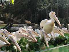-珠海长隆海洋王国