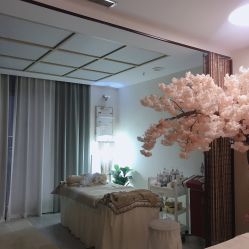 -至臻康妍健康管理中心