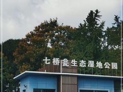 -七桥瓮公园