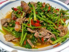 -壹盏灯(惠农店)