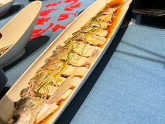 -天怡·鱼工厂(梅溪湖店)