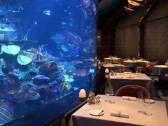-迪拜帆船酒店海底餐厅