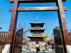 -广富林郊野公园