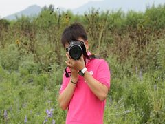 -北京东方普罗旺斯薰衣草庄园