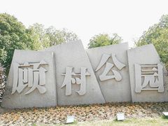 -顾村公园