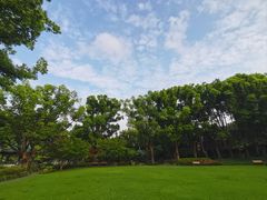 -申粤轩酒楼(丁香花园店)