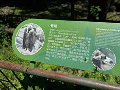 -ZOO COFFEE动物园咖啡(红山森林动物园店)