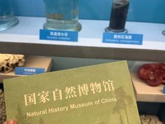 -国家自然博物馆