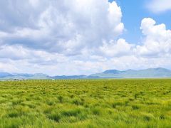 -花湖生态旅游区