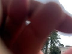 -华中科技大学同济医学院附属同济医院(汉口院区)