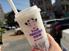 -大王油茶(二厂文创公园店)