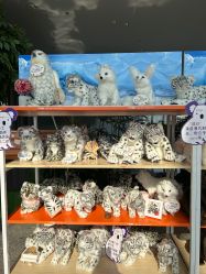 -IMON·HANSA潮玩玩偶毛绒玩具(通州万象汇店)