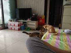 -北京观赏动物医院·24小时大型综合·猫专科·异宠专科