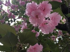 -山东大学(趵突泉校区)