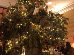 -Sketch(The Lecture Room & Library)