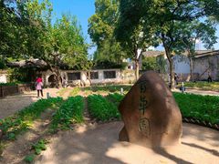 -绍兴鲁迅故里·沈园景区