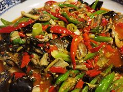 -青城甲(青城山店)