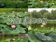 -西海子公园