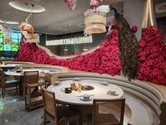 -花菇朵 ll 野生菌锅·精品滇菜(后沙峪店)