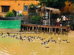 -园林美食城·本土农家菜(杨和镇店)