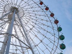 -常州淹城野生动物世界