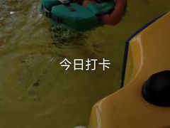 -蓝鲸奇亲子游泳俱乐部