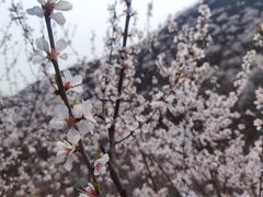 -回龙观体育文化公园