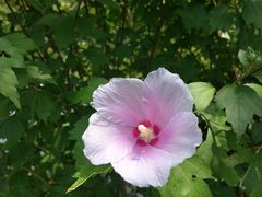 -烟水渔庄餐厅(西溪湿地店)